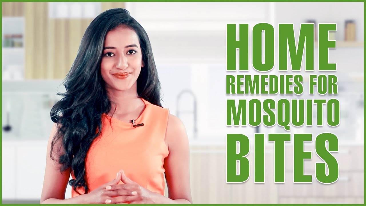 Natural Remedies To Get Rid Of Mosquitoes Natural Remedies To Get Rid Of Mosquitoes