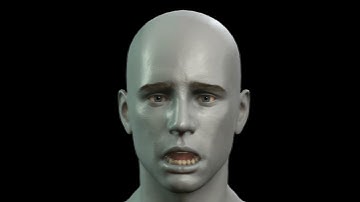 Face Animation Blender 3.0 BDT
