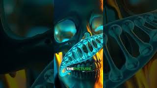 Is Human Evolution Still Incomplete?