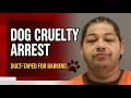 Man Accused of Beating Dog, Taping Snout; Felony Charge Filed
