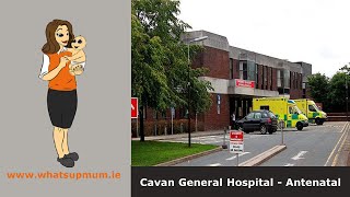 Cavan General Hospital Antenatal 2020