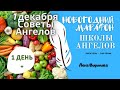 1 декабря 2020/Советы Ангелов/Лена Воронова