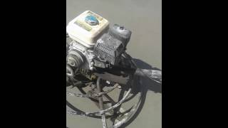 Alisadas.delozasgrupopunina1