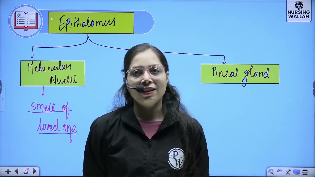 8 Nervous System 08 Anatomy and Physiology of Nervous System Part