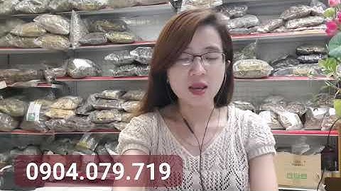 PHAN TẢ DIỆP CHỮA TÁO BÓN,  GIẢM CÂN, GIẢI ĐỘC GAN