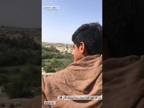 بلوچی کلیپ Viral Trending Shorts Short Comedy Pubgmobile Allah Bali Video