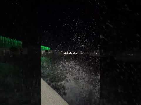     بهاء سلطان انا من غيرك حالات واتس