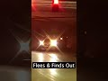 Fleeing Driver Finds Out Fast