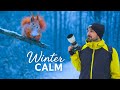 POV: A Calm Winter Walk with My Camera 📸❄️