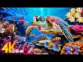 Ocean 4K - Sea Animals for Relaxation, Beautiful Coral Reef Fish in Aquarium (4K Video Ultra HD) #16