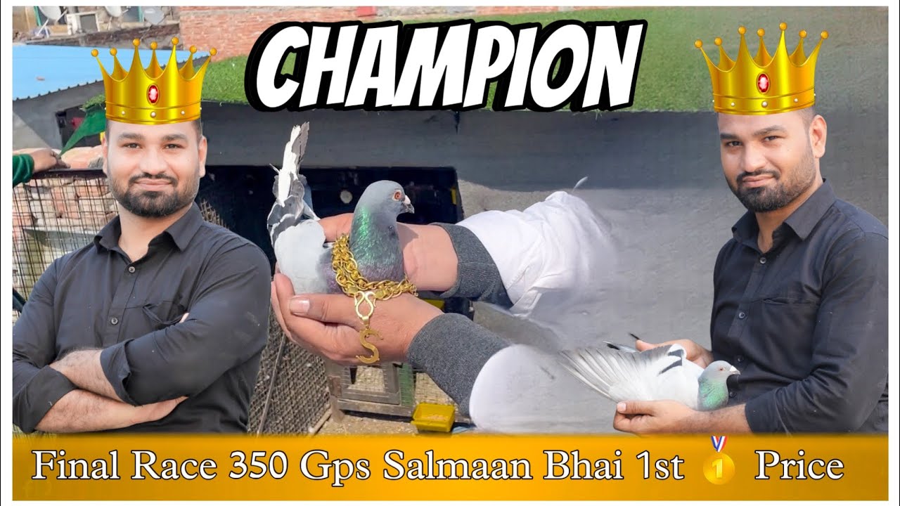 Final Race ￼350 Gps Me Salmaan Bhai ki 1st Position ￼| X Fighter Birds