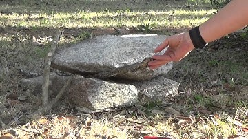 THe "Y"-Bone Deadfall