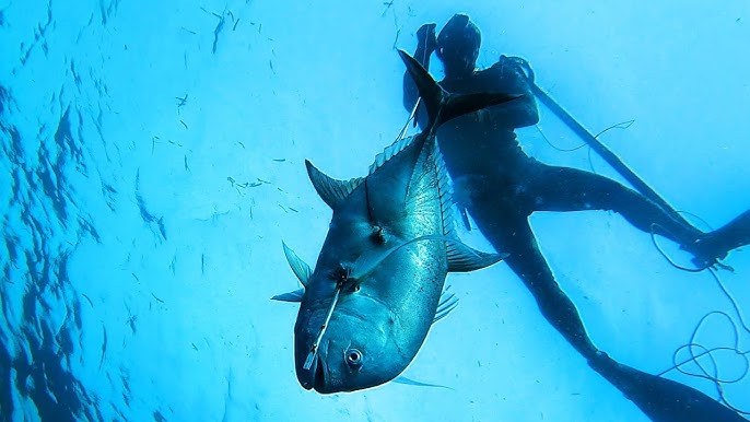 Indonesia Travel & Spearfishing!!!!