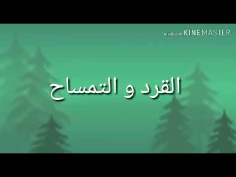 Story Telling Dalam Bahasa Arab Monyet Dan Buaya الفرد و التمساح Youtube