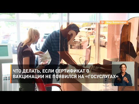 Что делать, если сертификат о вакцинации не появился на «Госуслугах»
