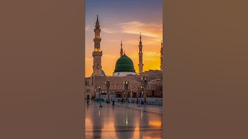 تلاوة تُنزل السكينة على القلب... وكأنك تسمع كلام الله لأول مرة"