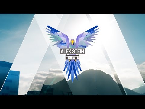 ALEX STEIN -