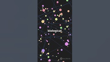 Temporal & Multilayer Networks: The Secret Webs of Our World!    #researchawards #networkscience
