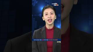 Why Is Fpt Stock Out Of Sync When The Market Is At Its Most Brilliant?