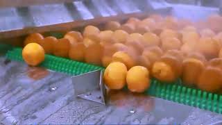 Orange juice production and bottling line
