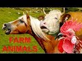 For Kids: 30 beautiful farm animals with real sounds Part 1 - Für Kinder: Bauernhoftiere Tierstimmen