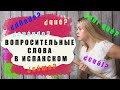 ЧИВОООО!!!???? ЧТО? ГДЕ?? КОГДА? И ДРУГИЕ ВОПРОСИТЕЛЬНЫЕ МЕСТОИМЕНИЯ В ИСПАНСКОМ #вопросывиспанском