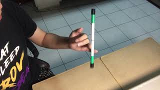 FS 59