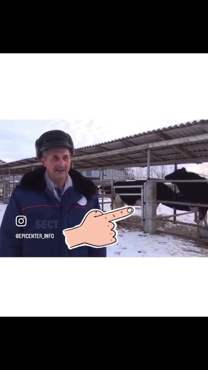 #озвучка #озвучкавидео #животные #озвучкаживотных #пахандома #ферма # ...