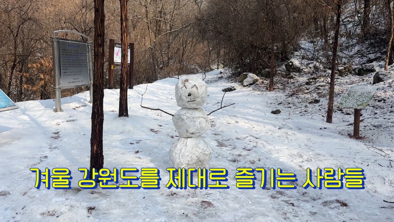 [강원도 양구 세달살기 EP.15] 겨울 강원도를 제대로 즐기는 친구들을 위한 양구 투어