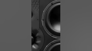 NF New Snippet Leak 8/11/2024 #nf #nfrealmusic #music #rap #rapmusic #leak #nfhope