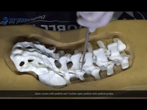 TINA 5.5 Bone Model Operation Video