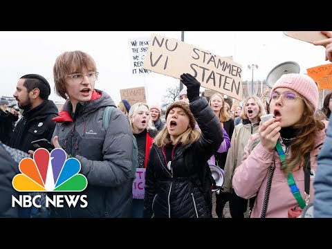 Greta thunberg joins hundreds of climate activists for march in stockholm