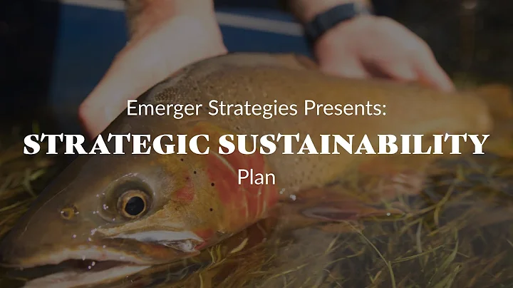 Strategic Sustainability Plan