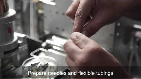 Automatic Honey Straw Filling & Sealing Machine