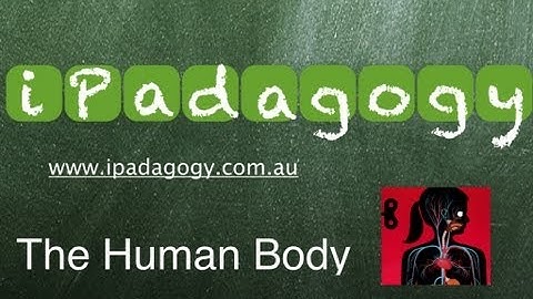 iPadagogy - App Review - The Human Body Tutorial