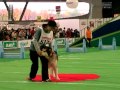 サンディ エクストリームハイスピード2010全国決勝大会