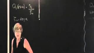 Active and Driven Soft Matter IV - Cristina Marchetti screenshot 4