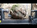 Woodturning  a big bowl in a big beech burl