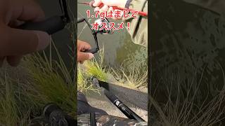 【バス釣り】シャローに強いメタルバイブ！#遠賀川#ハートランド#メタルバイブ