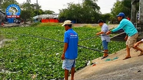 Cả Đám Tụ Tập Câu Cá Chốt Trên Cống, Giật Mỏi Cả Tay Luôn