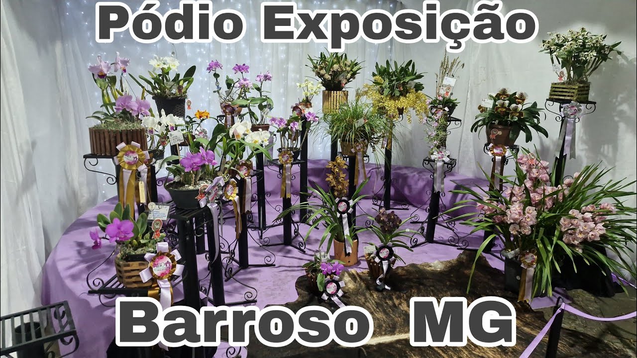 Pódio da Exposição                    Barroso MG 2025