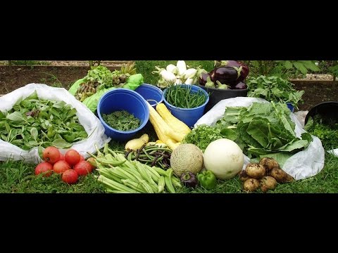 winter bear Winter Garden Project