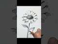 Spring is Here 🌸 | Let’s Draw a Cute Little Flower #shortvideo #youtubeshorts #learntodraw