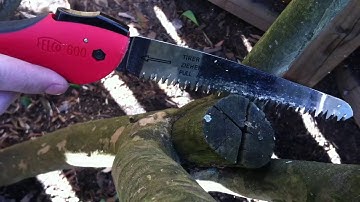 "How To" Video: Crape Myrtle Pruning / Part II