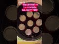 Watermelon Lemonade Concentrate #christianhomestead #watermelon #christianpreppers #prepperpantry