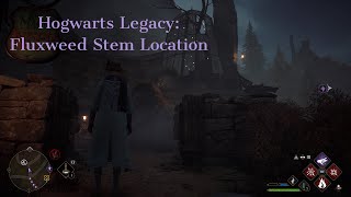 Hogwarts Legacy - Fluxweed Stem Location Guide