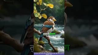 video motivational #StudyWithMe#LearningTips#shortseducation#shortsstudy#StudyVlog