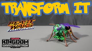 Transform It Transformers War For Cybertron Kingdom Deluxe Class Waspinator