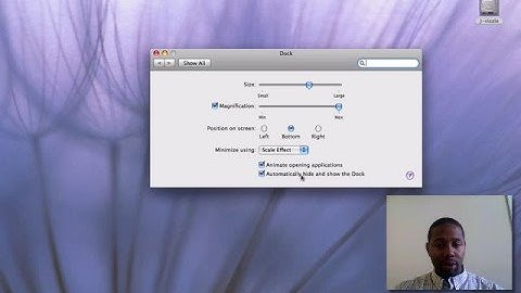 Mac 101 - Basics: The Dock