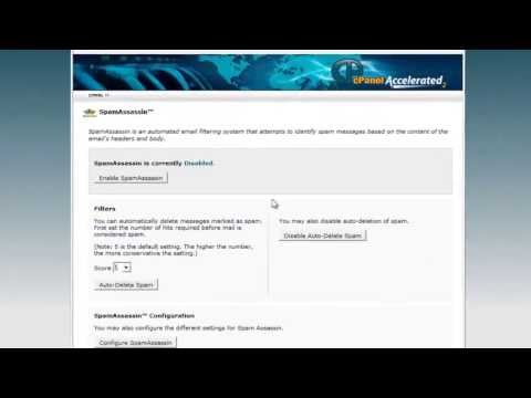 How to disable receiving spam messages to your email using cPanel